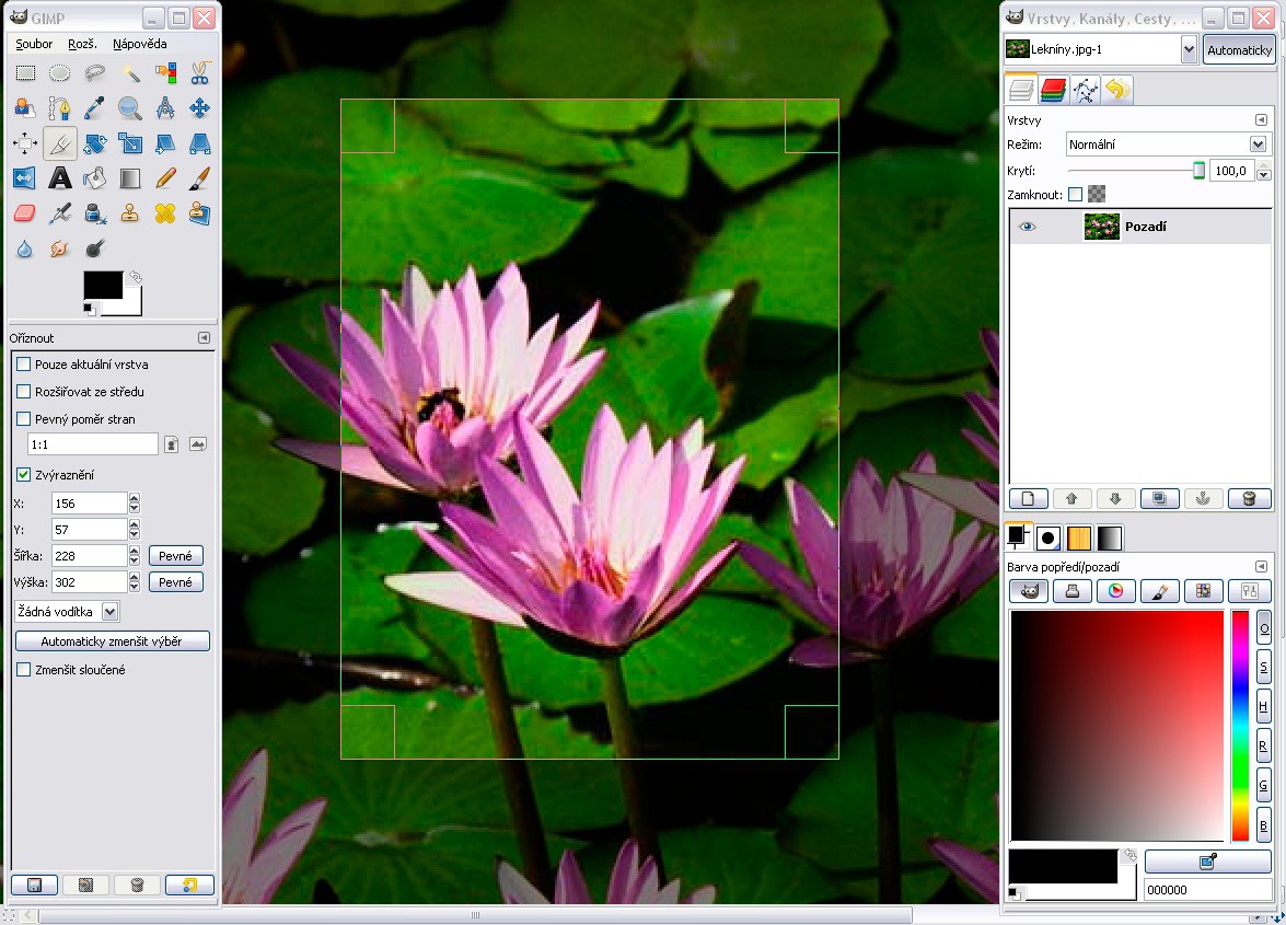 GIMP pro Windows screenshot 1